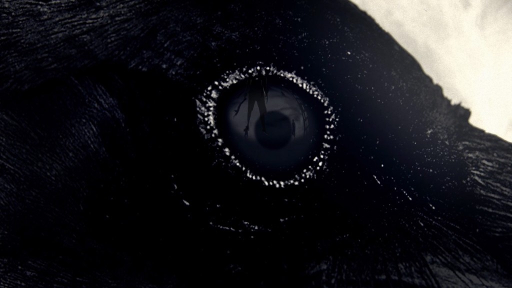 crows eye